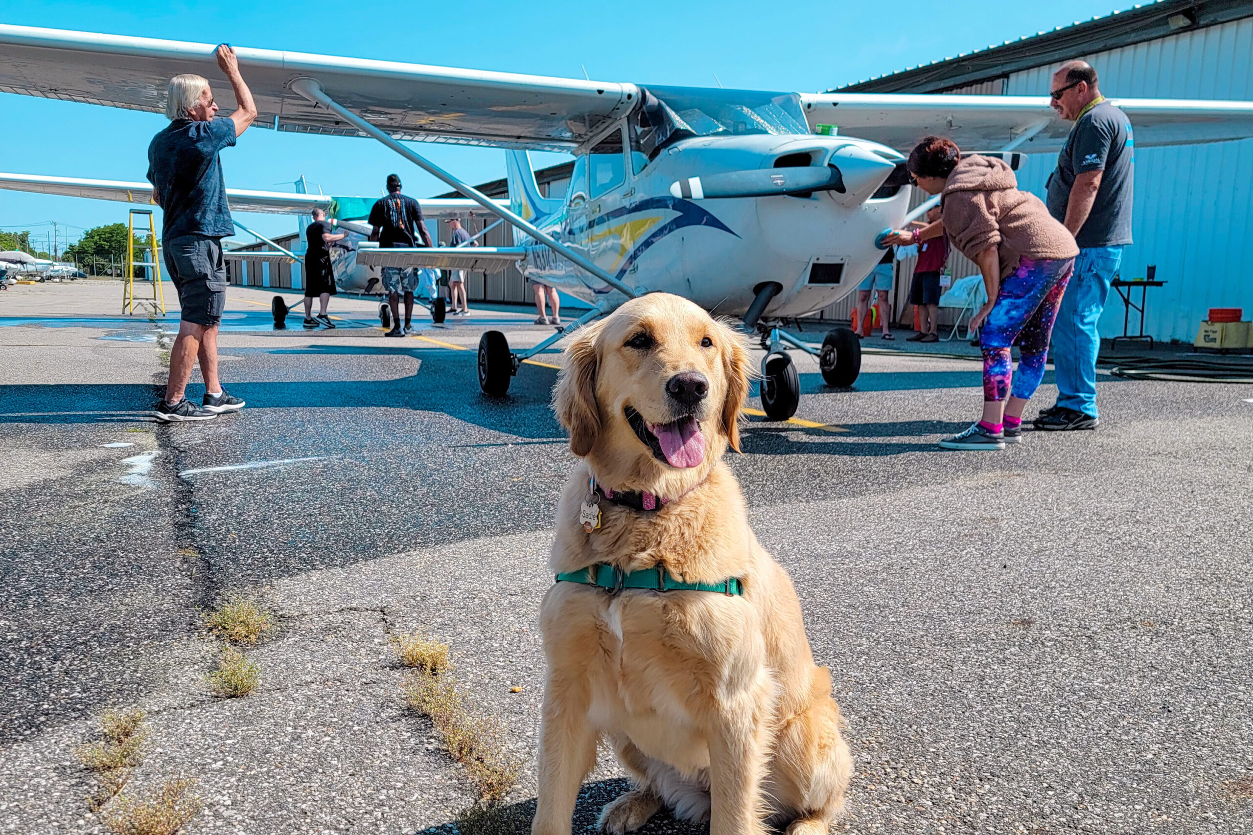 Plane wash with furry friend.